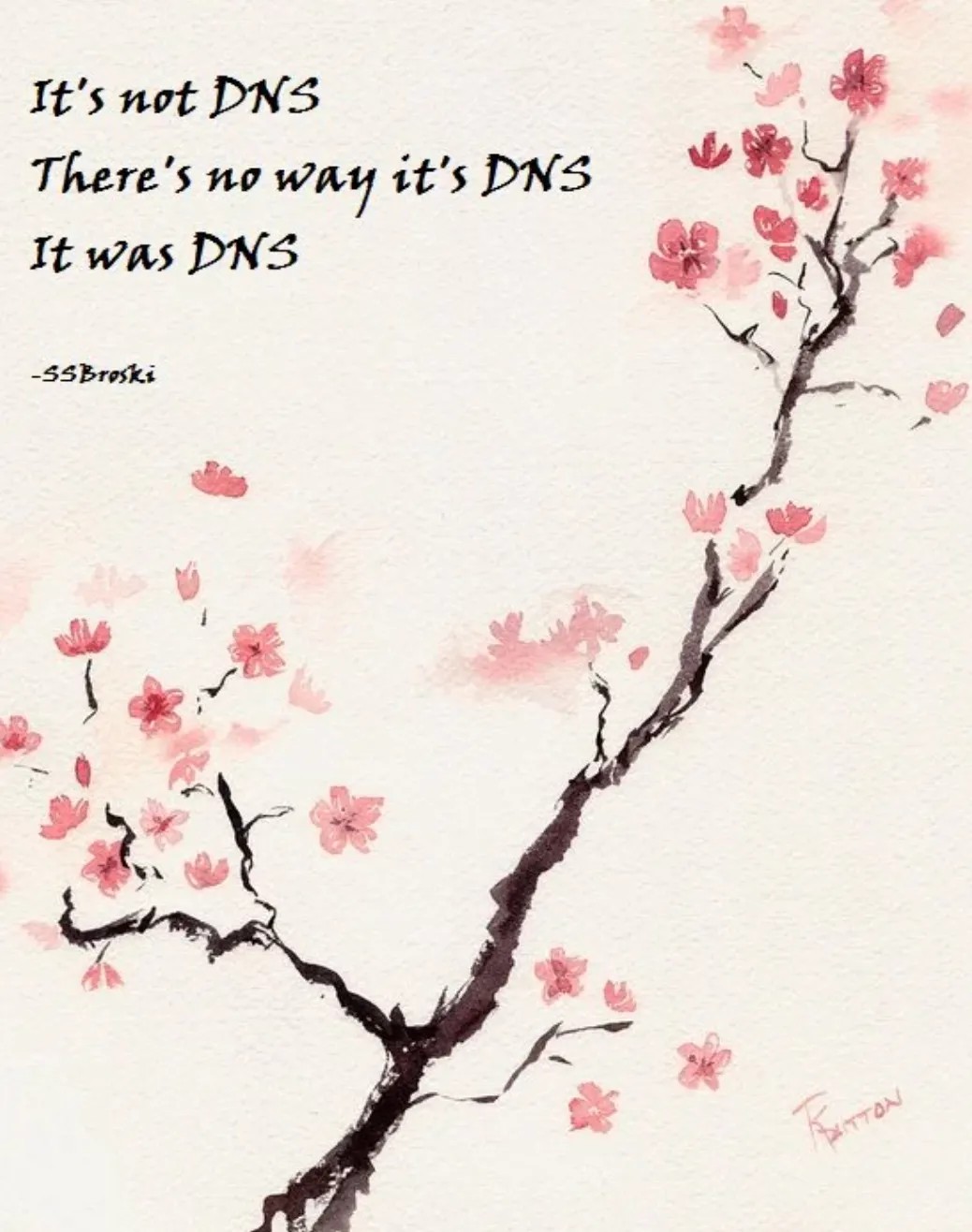 a haiku about dns